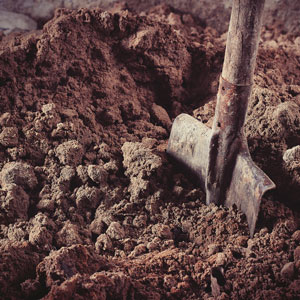 groundbreaking-preserve